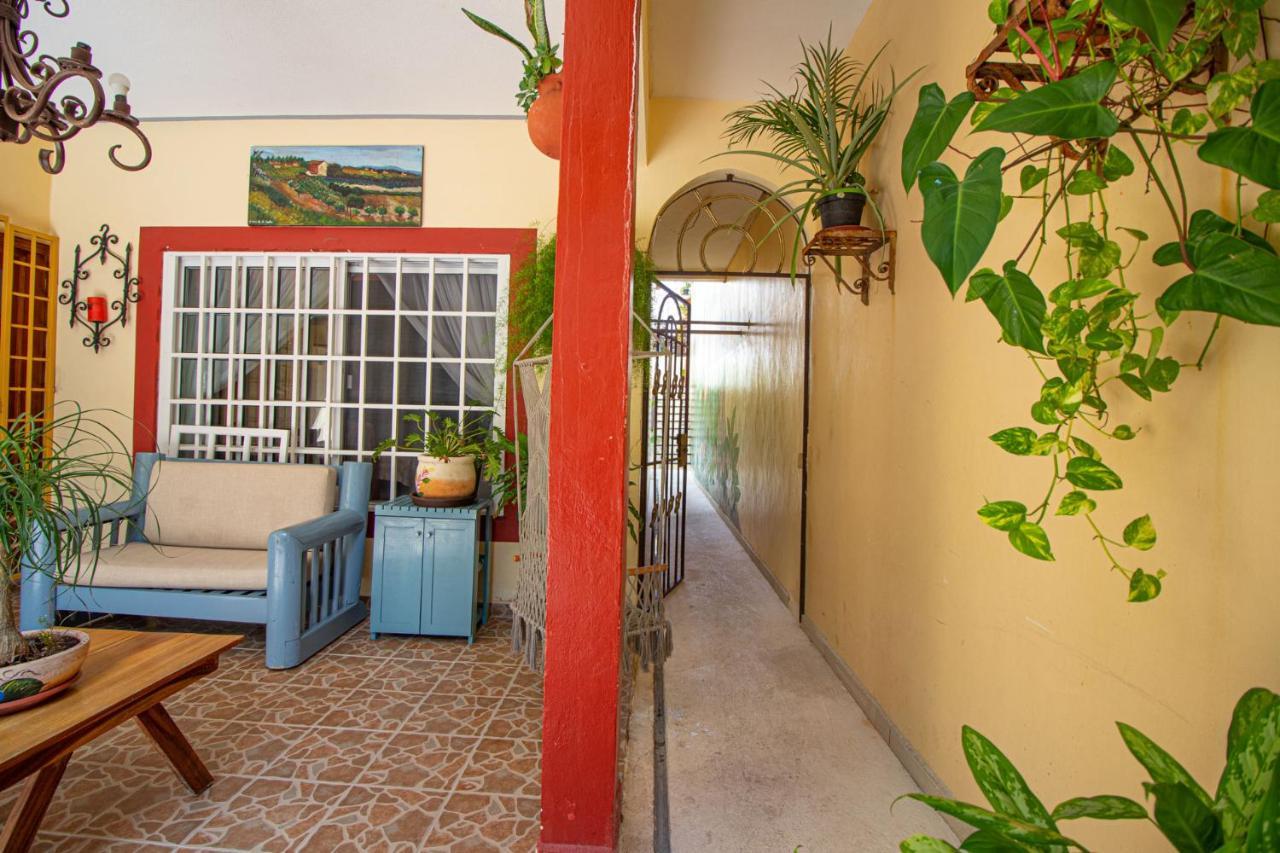 Hotel La Casa Del Almendro Playa del Carmen Zewnętrze zdjęcie